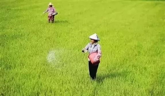 俄罗斯将延长化肥出口配额至2023年春季，供应巴西的化肥即将中断